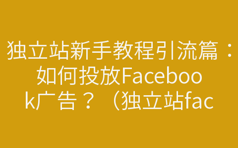 獨(dú)立站新手教程引流篇：如何投放Facebook廣告？（獨(dú)立站facebook廣告推廣）